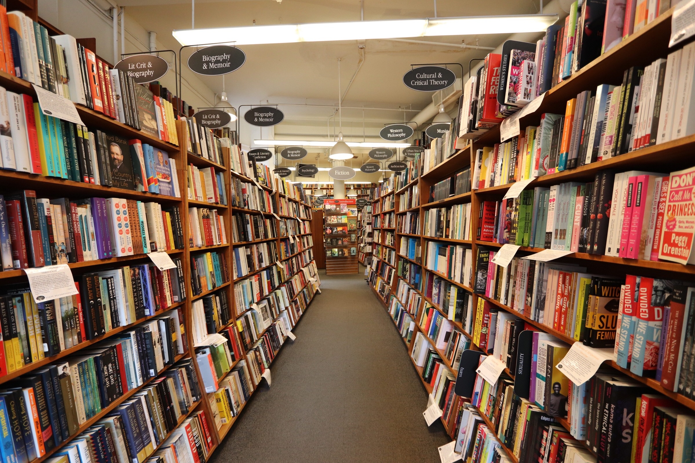 Bookstore near Harvard Square